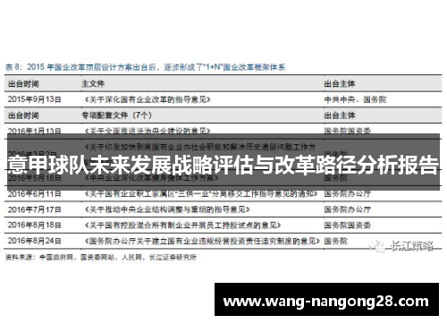 意甲球队未来发展战略评估与改革路径分析报告