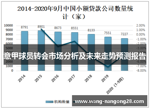 意甲球员转会市场分析及未来走势预测报告