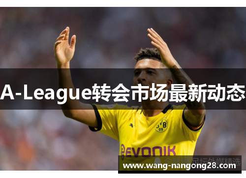 A-League转会市场最新动态