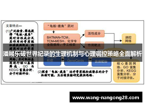 潘展乐破世界纪录的生理机制与心理调控策略全面解析