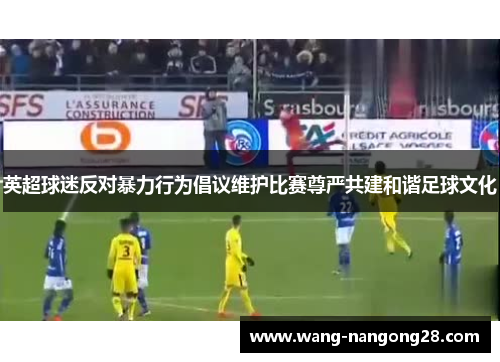 英超球迷反对暴力行为倡议维护比赛尊严共建和谐足球文化