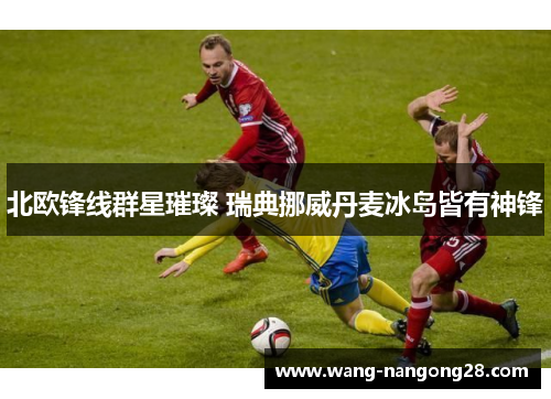 北欧锋线群星璀璨 瑞典挪威丹麦冰岛皆有神锋
