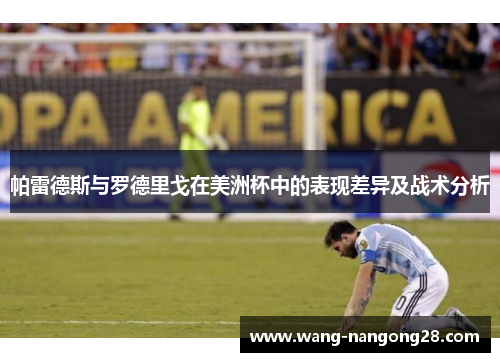 帕雷德斯与罗德里戈在美洲杯中的表现差异及战术分析