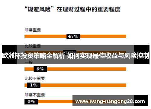 欧洲杯投资策略全解析 如何实现最佳收益与风险控制