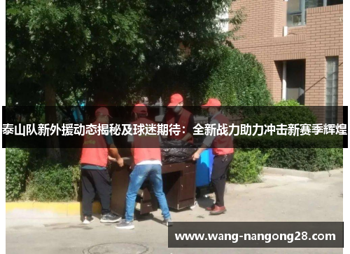 泰山队新外援动态揭秘及球迷期待：全新战力助力冲击新赛季辉煌