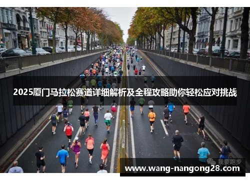 2025厦门马拉松赛道详细解析及全程攻略助你轻松应对挑战