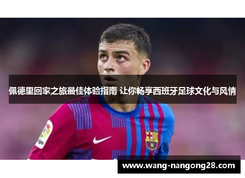 佩德里回家之旅最佳体验指南 让你畅享西班牙足球文化与风情