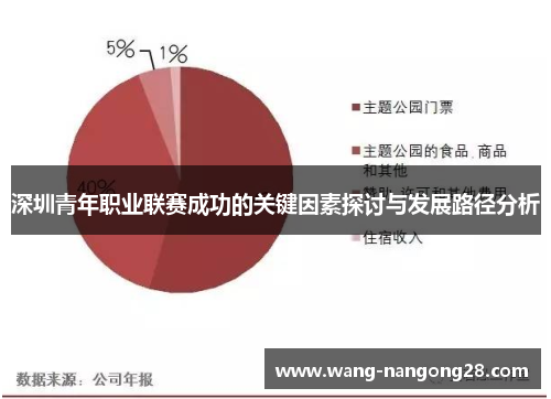 深圳青年职业联赛成功的关键因素探讨与发展路径分析
