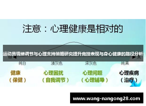 运动员情绪调节与心理支持策略研究提升竞技表现与身心健康的路径分析