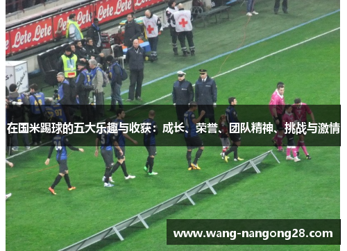 在国米踢球的五大乐趣与收获：成长、荣誉、团队精神、挑战与激情