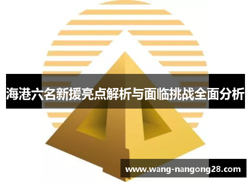 海港六名新援亮点解析与面临挑战全面分析