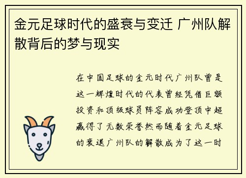 金元足球时代的盛衰与变迁 广州队解散背后的梦与现实