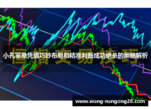小孔塞桑凭借巧妙布局和精准判断成功绝杀的策略解析